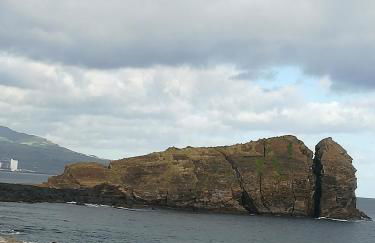 Pineapple Studio - Photo 59