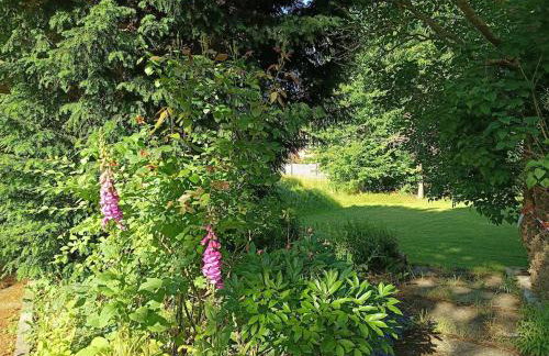 Cozy apartment in Harsum near Hildesheim - Foto 17