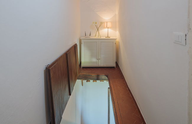 Di Carlino - Foto 13