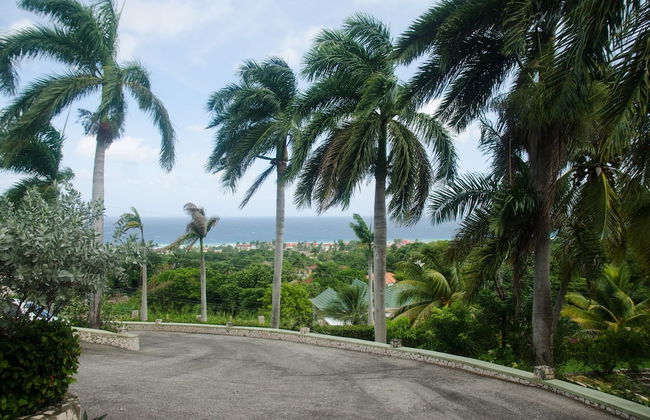 Ocean Crest Villa - Photo 36