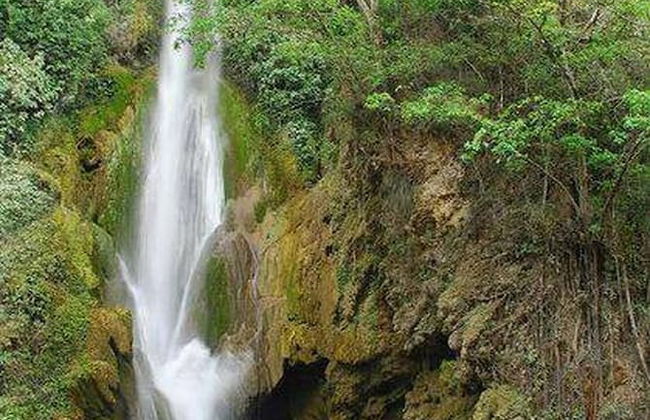 Room in Lodge - Sierraverde Cabins "cabaña la Palma" - Foto 8