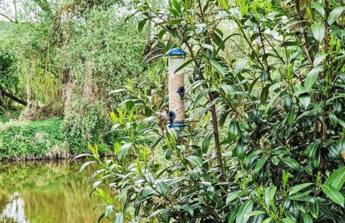 Holiday Home Tiny Haus am Altmühlufer by Interhome - Foto 22