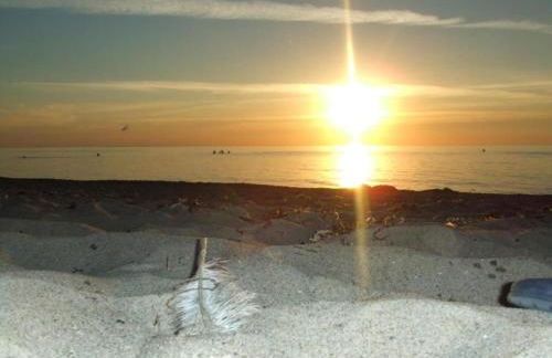 Ferienhaus mit Eigener Terrasse in Russow - Foto 57