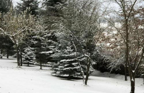 Landhaus Weickenhof Comfortable holiday residence - Foto 28