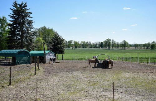 Barrierefreie Ferienwohnung Trüben (Zerbst/Anhalt) - Foto 8