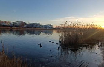 Apartament Skorpion Marina & Spa Sagaris Dziwnów - Foto 30