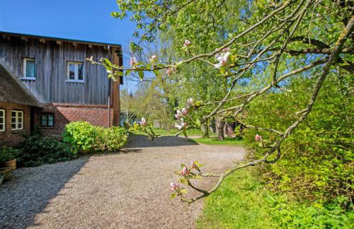 Ferienwohnung Galerie unterm Reet - Foto 28