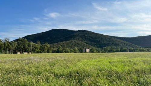 Mas Grenadine, magnifique villa du Piémont Cévenol - Foto 3