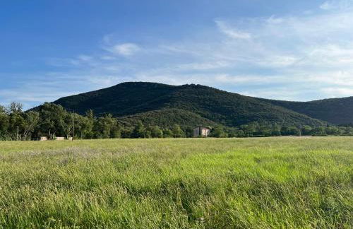 Mas Grenadine, magnifique villa du Piémont Cévenol - Photo 3