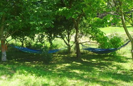 Zielono Mi - Dom Gościnny w Łapalicach - Foto 29