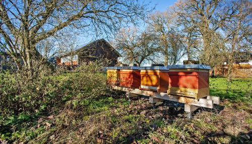 Haus am Hof - Foto 3