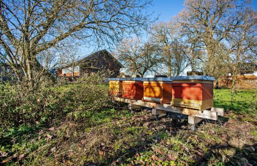 Haus am Hof - Foto 3