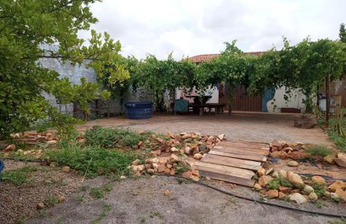 Espaço para Evento e temporada - Foto 1