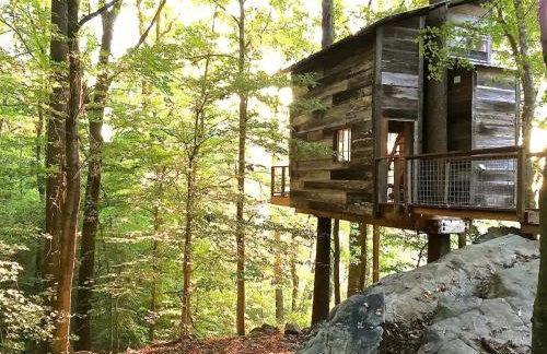 Treetop Hideaways: Luna Loft Treehouse - Foto 7