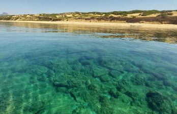 Bella Vista - Foto 42