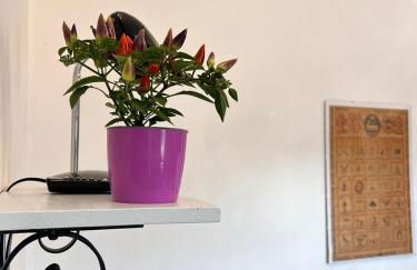 Casa laggiù - Foto 10