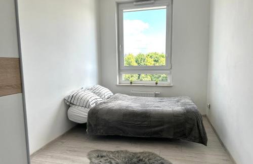 SDH 1 Radzymin comfortable apartment near Warsaw - Foto 12