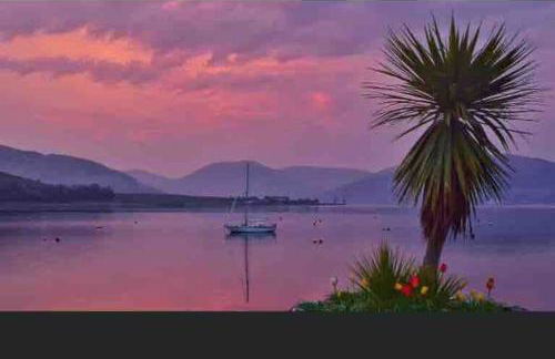 Fraoch, Pets welcome - Foto 39