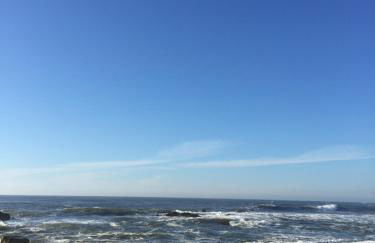 River house - Foto 35