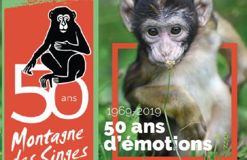 Appartement au cœur du Val d'Argent - Foto 13