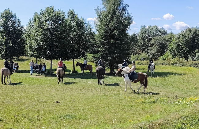 HexenburgbeiDresden Stylishes Designerappartement mit Schlafsofa, Terrasse - Nähe Sächsische Schweiz - Foto 13