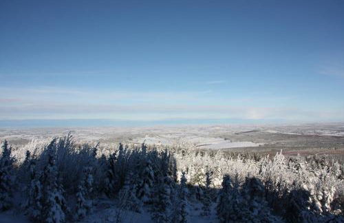 Appartements Gahler - Kurort Oberwiesenthal - Foto 44