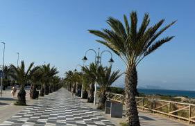 Casa Carabassi - Foto 31