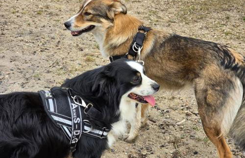 La petite ferme de Fine - Photo 13