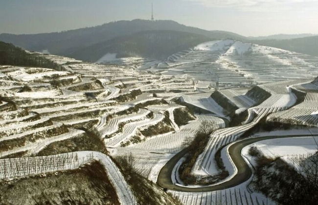 Savoir Vivre Modern Retreat - Foto 29