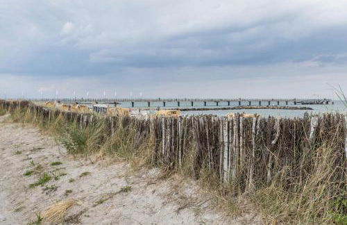Treibholz - Feriendomizil Ostsee - Foto 41