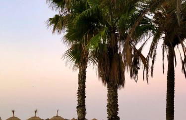 Daria Beach Gran Terraza by AlohaMalaga - Photo 34