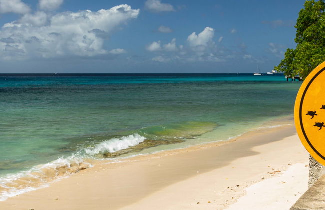 Visita guidata di Speightstown - Foto 1