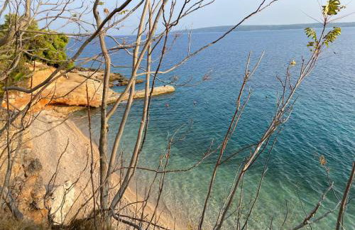 Zavala Residence - Foto 24