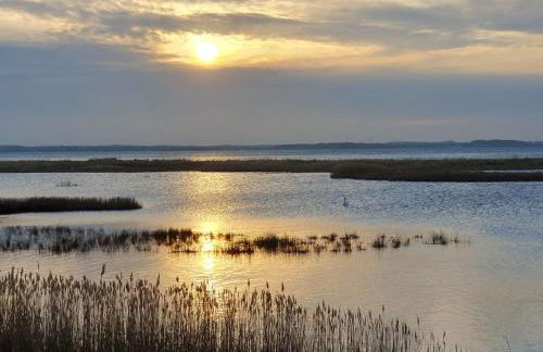 Ferienwohnung Hafenblick Ferienhof Geltinger Bucht - Foto 38