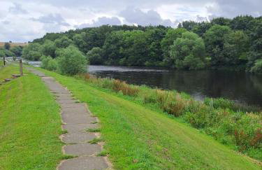 Newbus Grange Lodge The Cottage - Photo 12