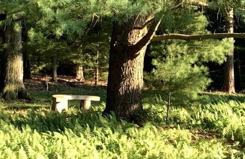 Gorgeous Cottage for Two, Overlooking Pond on 20 acres, Glamping in Pennsylvania - Foto 54