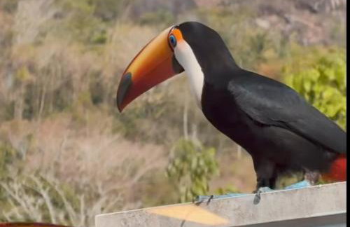 Casa Ilhabela a cinco minutos do centro - Foto 22