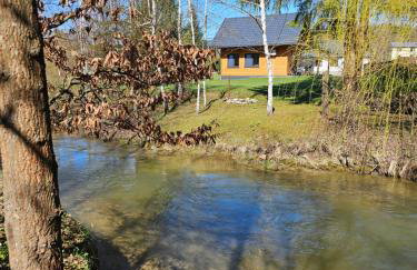 Bieszczadzki Domek przy Potoku - Foto 18