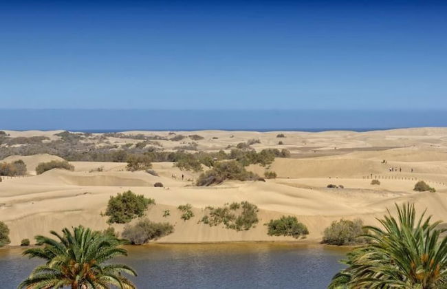 Apartamentos Tamara - Foto 45