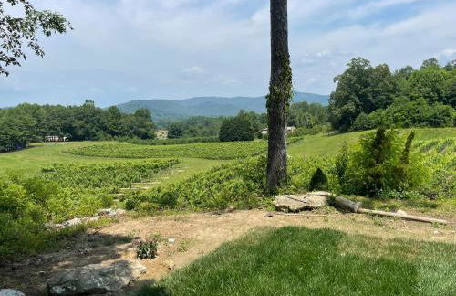 Cabin on Gold Mine Hill - Foto 13