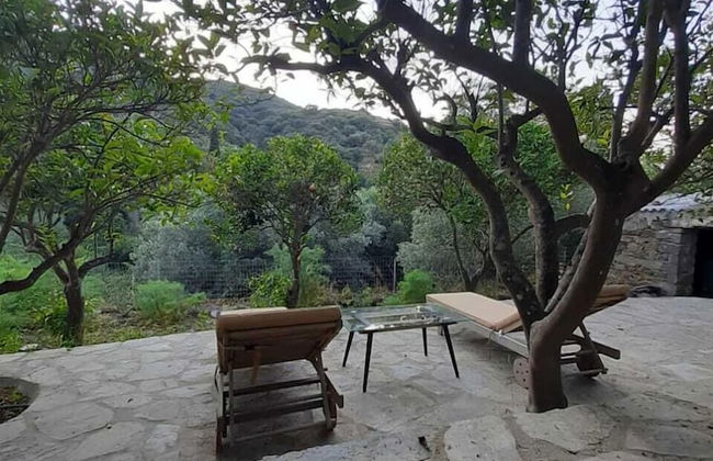 Diamoni Afroditi - Photo 25