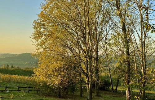 Villa panoramica sulle colline del Monferrato - Foto 45