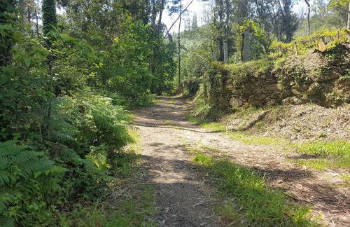 O Eido de Celia - Foto 64