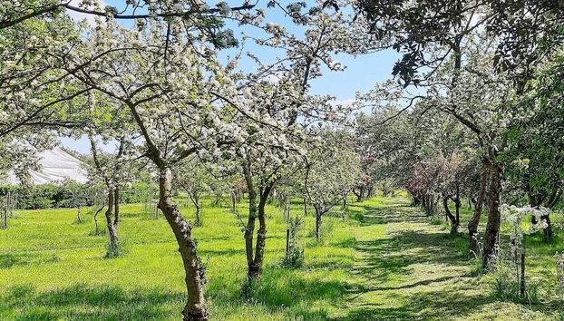 6 Person Holiday Home on a Holiday Park in Saeby - Foto 3, Miscelánea