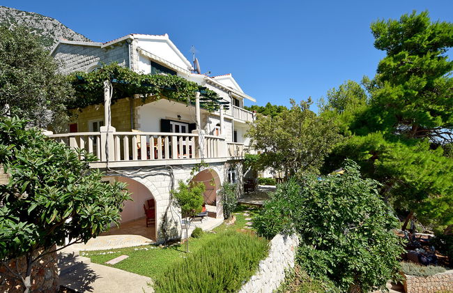 Plavac Mali - Foto 18