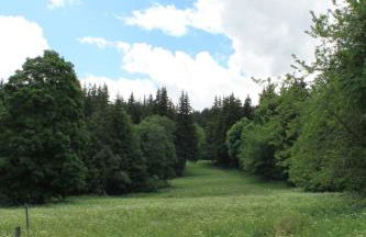 Chalet Les 5 Sapins - Foto 18