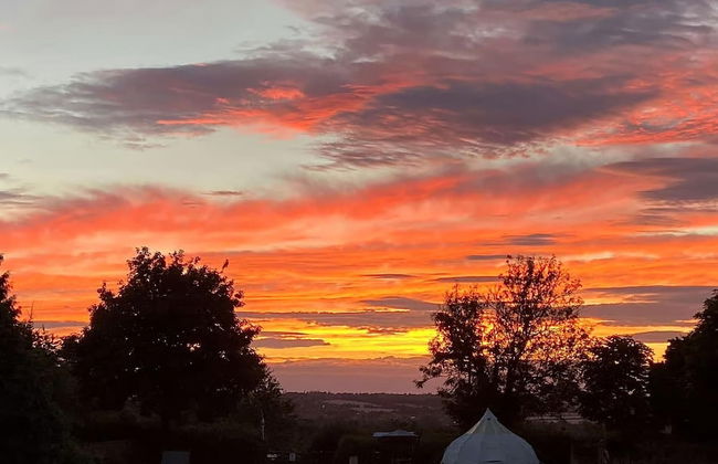 Woodlands Basic Bell Tent 3 - Foto 15