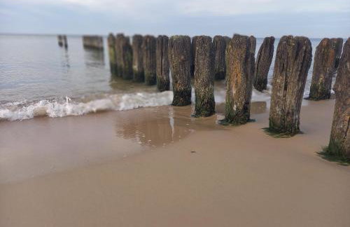 Apartament PLUS 22 C - Foto 38