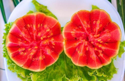 Refugios Parajuru - Pavilhão - Photo 23