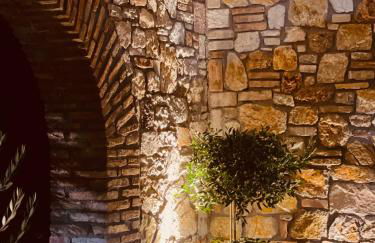 Evilion Ktima Argyropoulou - Photo 4